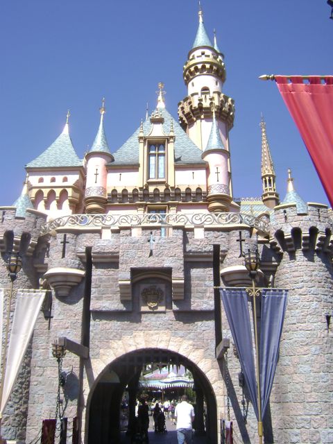 DSC01827.jpg