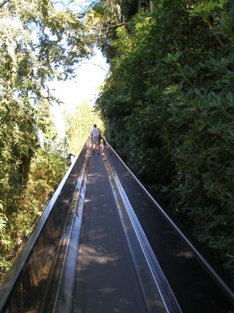 PA250115.jpg